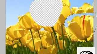 How To Create Selections in Photoshop PART - 3