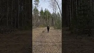 Веснаааа...🥰