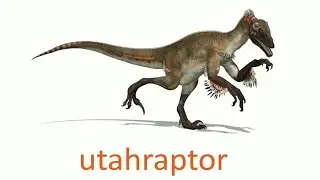 Dinosauri per bambini - Animali preistorici per bambini - Flashcard per bambini - lingua inglese