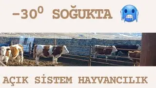 -30⁰ SOĞUKTA AÇIK SİSTEM HAYVAN BARINAĞI - KARS 