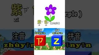 Chinese Alphabet ㄗ and z 注音符號與拼音