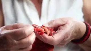 Knitted Steak - Bistro In Vitro