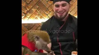 ХАСБИК ОЧКАНУЛ ОТ ДЖИМИ 