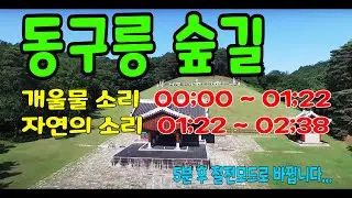수면다큐 별별이야기 15 - 동구릉 숲길