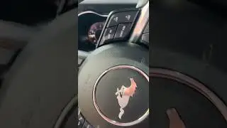 Pedal pumping Mustang mach 1