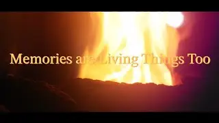 Memories are Living Things Too / Shot on Panasonic Lumix G85 (prod. Michael Harrison x Gavin Hadley)