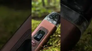 В лесу нашел ништяк 🌲 #wenaxQ