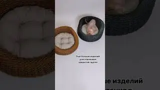 Ссылка  в шапке профиля #лежанка #полиротанг #лежанкидляживотных #питомцы #плетениеротанг #rattan