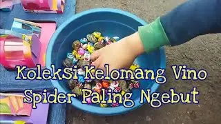KOLEKSI KELOMANG VINO SPIDER PALING NGEBUT