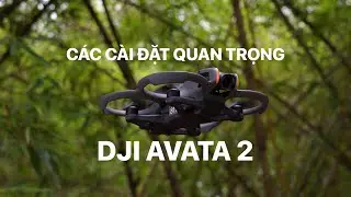 Cài đặt nên biết khi mới dùng DJI Avata 2 - FPV Drone | Phần 1 | Tokyo Camera