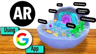 AR using Google App | Study of Eukaryotic cell | Use of Augmented Reality in Education