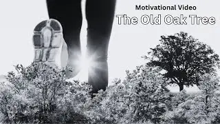 The Old Oak Tree. Motivational Story Video