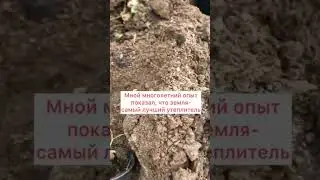 Укладываю розочкт на зиму