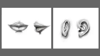 How to Draw Facial Features Parts ( Lips and Ear)  Part- 2