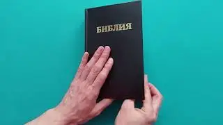 День второй. Часть 2