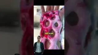 Супер альтернатива гипсу!