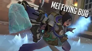!!Flying Mei BUG!!