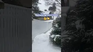 Забор из штакетника