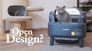 Oneisall Ease S1 Review: Real Multi Cat Testing in Our Cattery