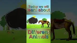 Learn Animals Names And Sounds For Children | Animals For Kids