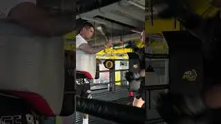 Приглашаем на персональные тренировки💪  #mma #мма