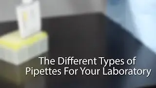 The Different Types of Pipettes For Your Laboratory