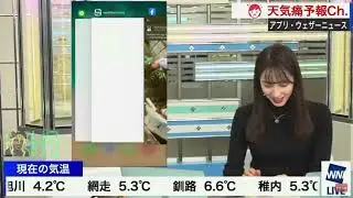 Insiden Batang pisang di siaran tv
