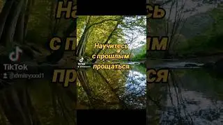Простить и отпустить 
