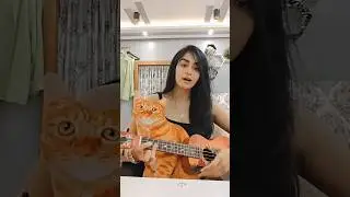 Din mein kitne baar palke jhapakte ho?