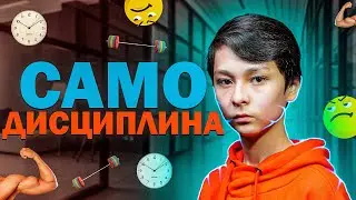 Как Выработать В Себе Самодисциплину?