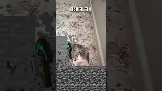 #рекомендации #funny #юмор
