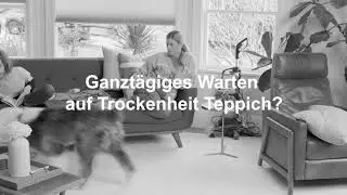Haben Sie es satt, darauf zu warten, dass der Teppich trocknet?
