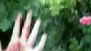 Killer Cat -horror-