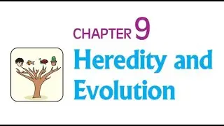 CBSE - STATE - 10 - Heredity and Evolution - Part 1