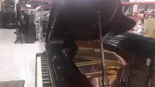 Zimmermann 1/4 coda da Jolly Music
