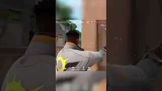 Phoenix Beginner Level CLUTCH 