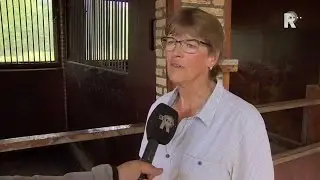 Ponyverkrachter opgepakt in Bergschenhoek