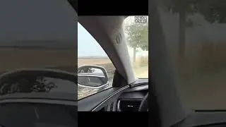 Funny accident