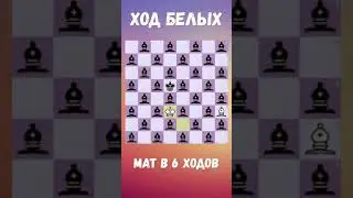 🐘 33 слона на ШАХМАТНОЙ доске. Мат в 6 ходов 