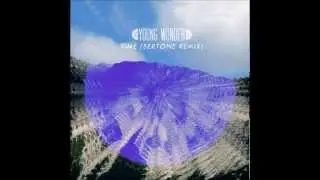 Young Wonder -Time Feat. Sacred Animals (SertOne Remix)