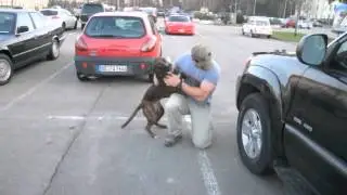 Dog Welcomes Home Soldier...Again