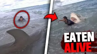 This Man Was RIPPED APART By Tiger Shark In Front of His Wife!