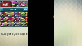 Budget cycle cap / part 1