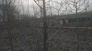 Реконструкция сада