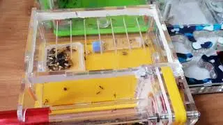Готовы подарить🎉самый необычный подарок🎁в своей жизни😊?!!!