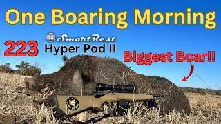 Shooting My Heaviest Boar To Date!