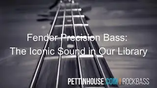 Pettinhouse | NI Kontakt Rock Bass sample library: Fender Precision, Samples & Loops - Presale!