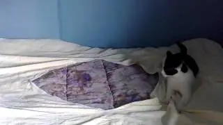 18.05.2011