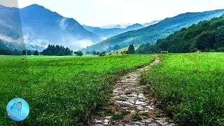 Muzică de Meditatie și Relaxare ce Amplifică lubirea, Prosperitate și Fericirea