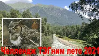 #тегнимлето